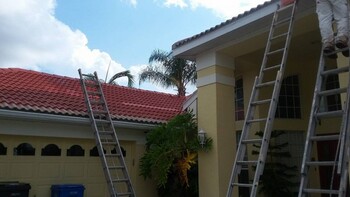 Tile Roof Painting