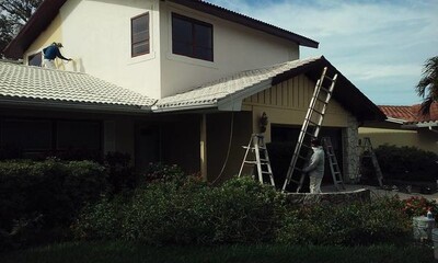 Exterior Painting in Lutz, FL (1)