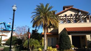 Before & After Tile Roof Painting in Palm Harbor, FL (2)